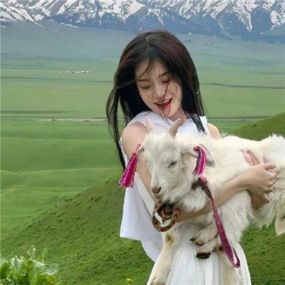 红犬历险记